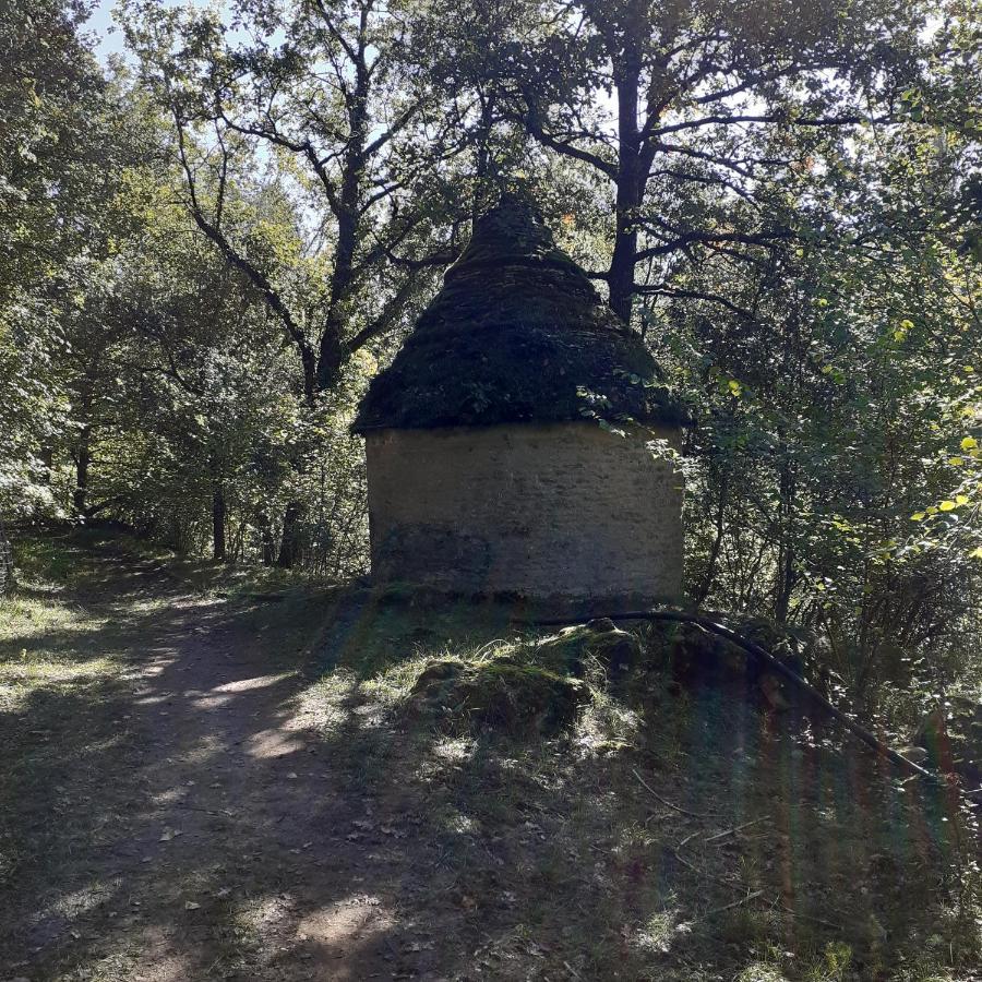 Le Manoir De Carlucet Gite Saint-Crepin-et-Carlucet Exterior photo